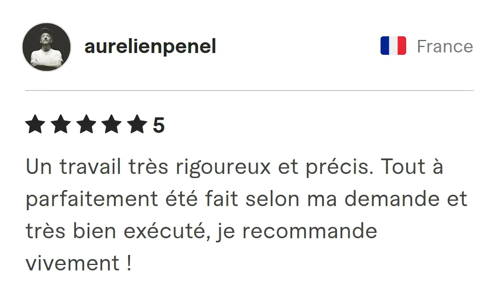 Aurelien Penel Fiverr review Screenshot of Fiverr review from Aurelien Penel