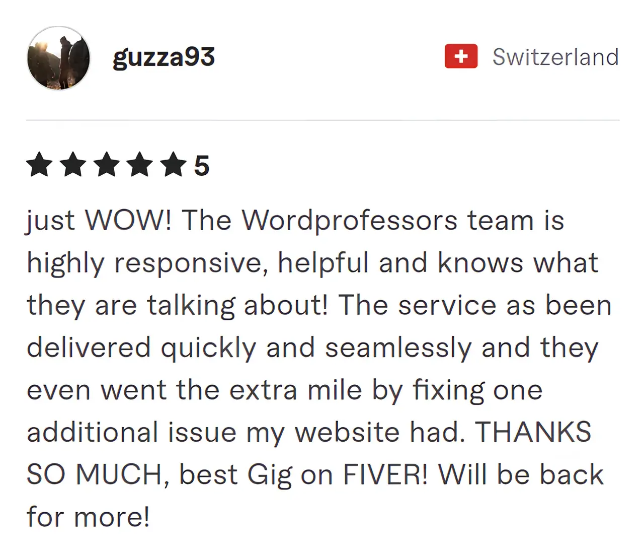 Guzza93 Fiverr review Screenshot of Fiverr review from Guzza93