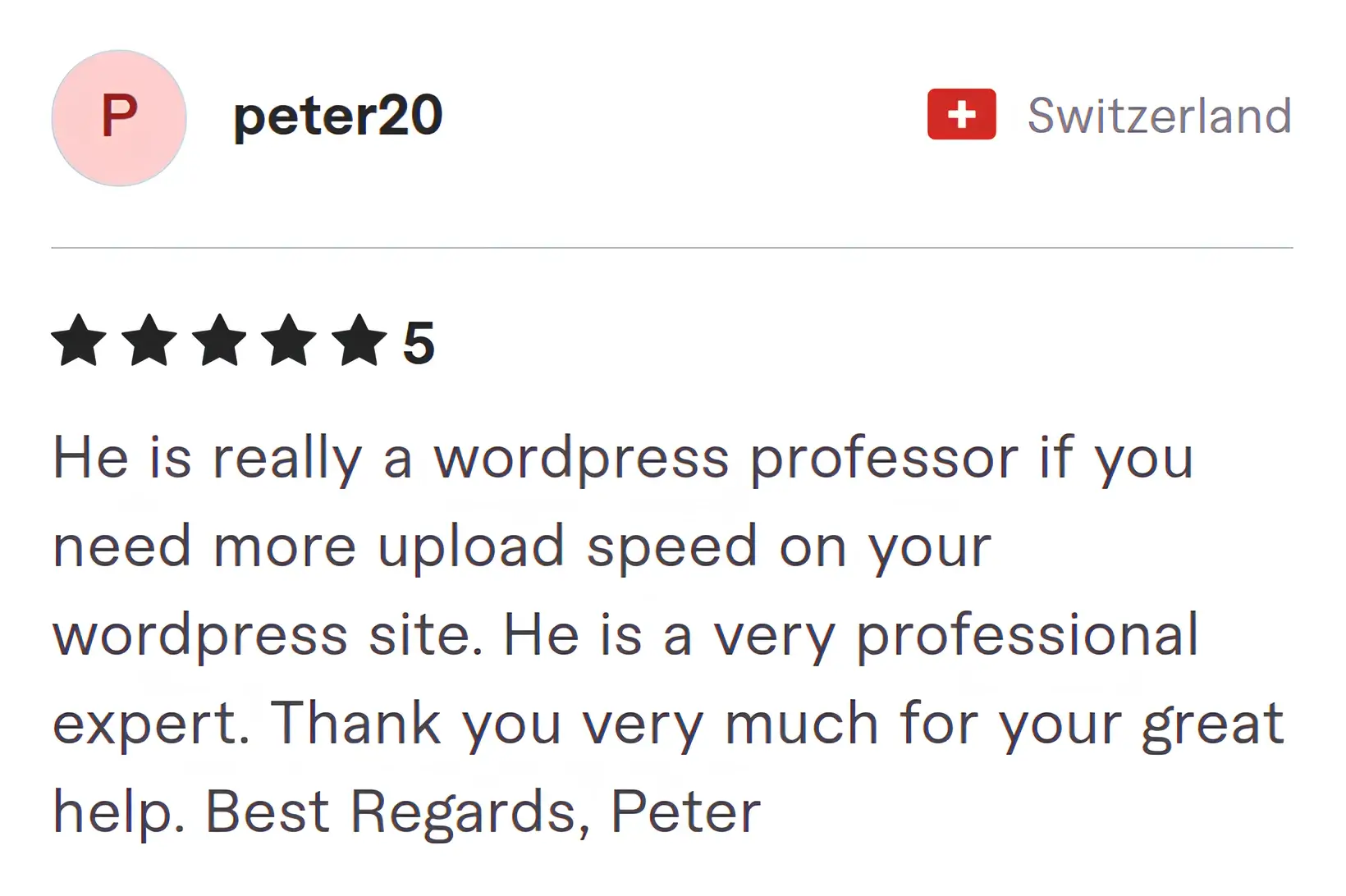 Peter20 Fiverr review Screenshot of Fiverr review from Peter20