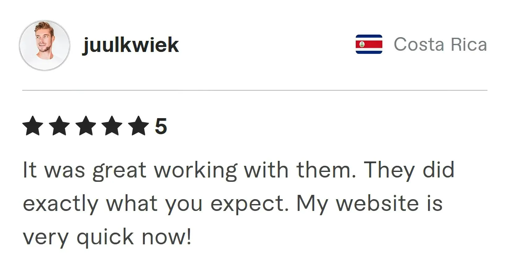 Juulkwiek Fiverr review Screenshot of Fiverr review from Juulkwiek